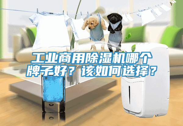 工業(yè)商用除濕機哪個牌子好？該如何選擇？