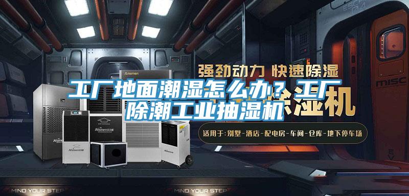 工廠地面潮濕怎么辦？工廠除潮工業(yè)抽濕機(jī)