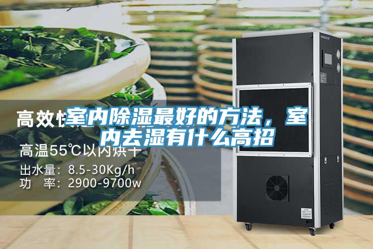 室內(nèi)除濕最好的方法，室內(nèi)去濕有什么高招