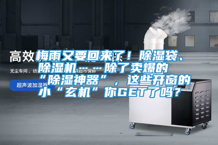 梅雨又要回來了！除濕袋、除濕機……除了賣爆的“除濕神器”，這些開窗的小“玄機”你GET了嗎？