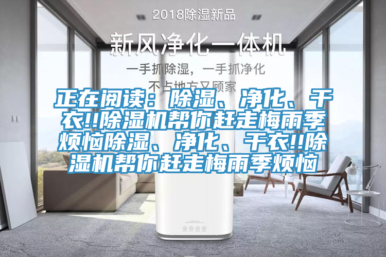 正在閱讀：除濕、凈化、干衣!!除濕機幫你趕走梅雨季煩惱除濕、凈化、干衣!!除濕機幫你趕走梅雨季煩惱