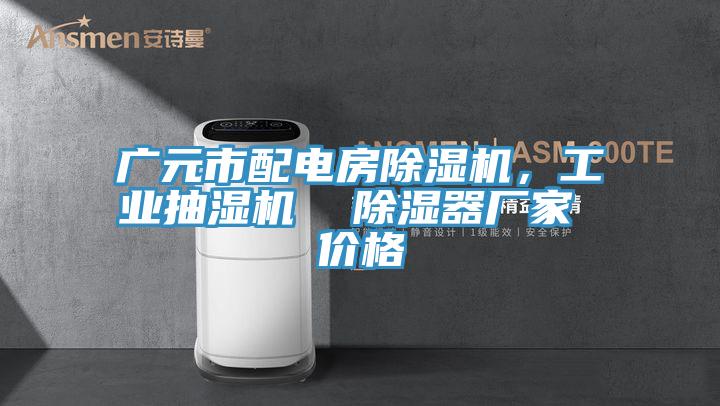 廣元市配電房除濕機(jī)，工業(yè)抽濕機(jī)  除濕器廠家 價(jià)格