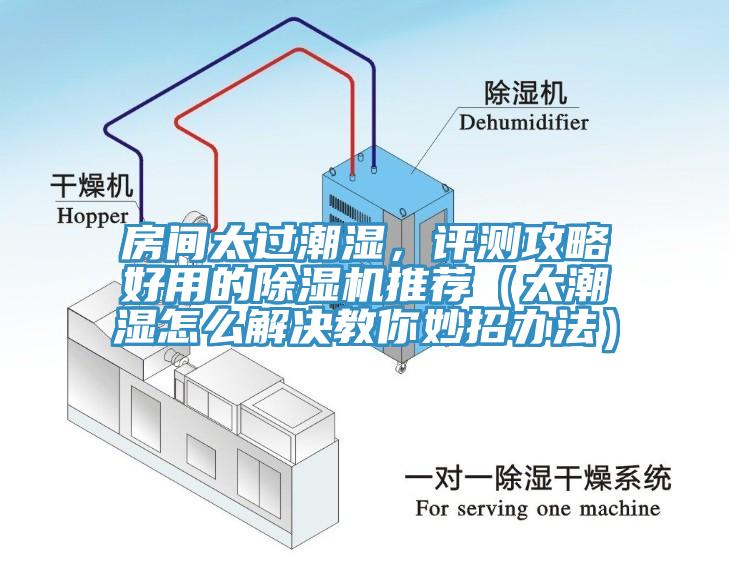 房間太過潮濕，評(píng)測(cè)攻略好用的除濕機(jī)推薦（太潮濕怎么解決教你妙招辦法）