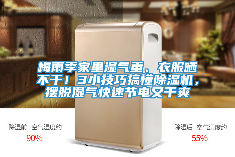 梅雨季家里濕氣重、衣服曬不干！3小技巧搞懂除濕機，擺脫濕氣快速節(jié)電又干爽