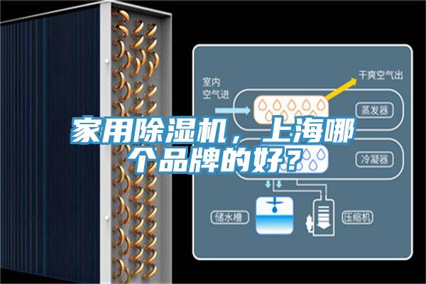 家用除濕機(jī)，上海哪個品牌的好？