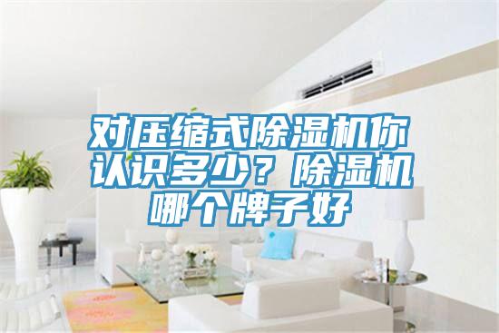 對(duì)壓縮式除濕機(jī)你認(rèn)識(shí)多少？除濕機(jī)哪個(gè)牌子好