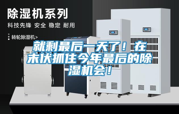 就剩最后一天了！在末伏抓住今年最后的除濕機(jī)會(huì)！