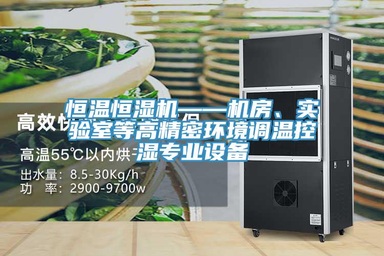 恒溫恒濕機(jī)——機(jī)房、實(shí)驗(yàn)室等高精密環(huán)境調(diào)溫控濕專業(yè)設(shè)備