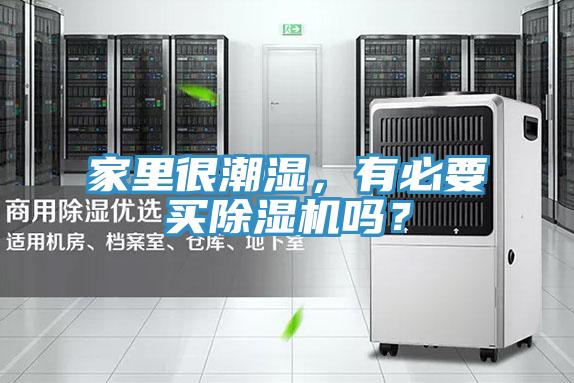 家里很潮濕，有必要買除濕機嗎？