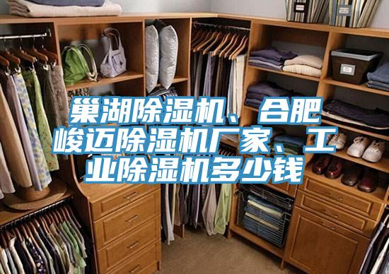 巢湖除濕機(jī)、合肥峻邁除濕機(jī)廠家、工業(yè)除濕機(jī)多少錢