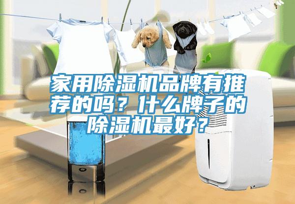 家用除濕機(jī)品牌有推薦的嗎？什么牌子的除濕機(jī)最好？