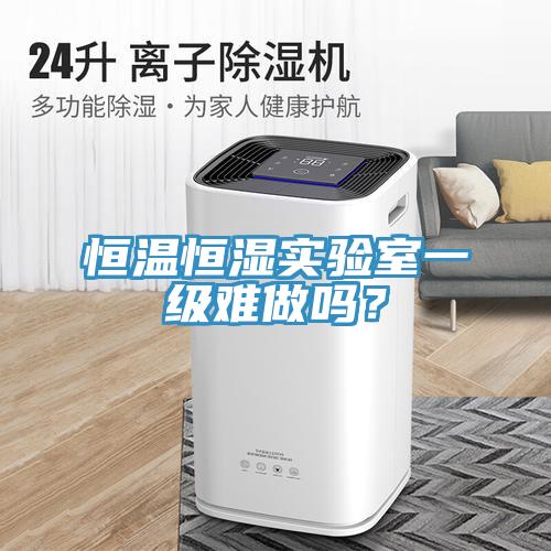 恒溫恒濕實驗室一級難做嗎？