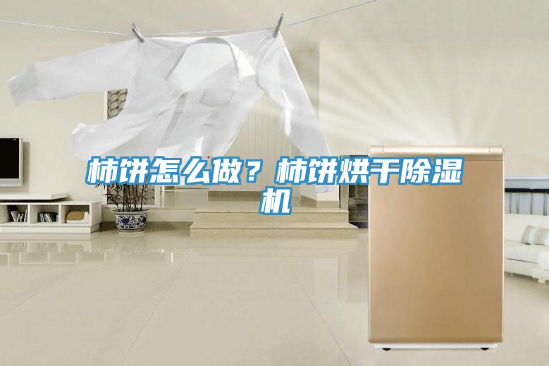 柿餅怎么做？柿餅烘干除濕機
