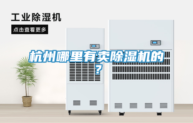 杭州哪里有賣(mài)除濕機(jī)的？