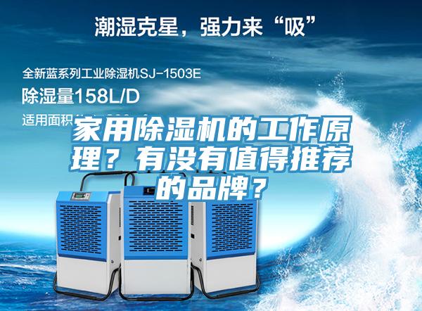 家用除濕機的工作原理？有沒有值得推薦的品牌？