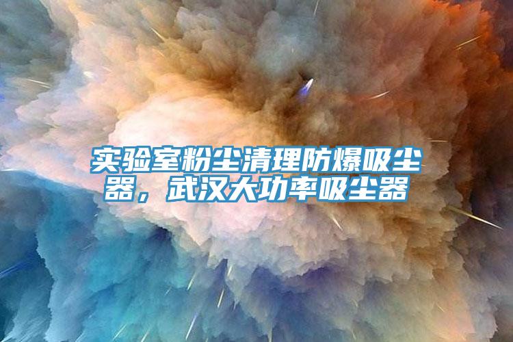 實(shí)驗(yàn)室粉塵清理防爆吸塵器，武漢大功率吸塵器