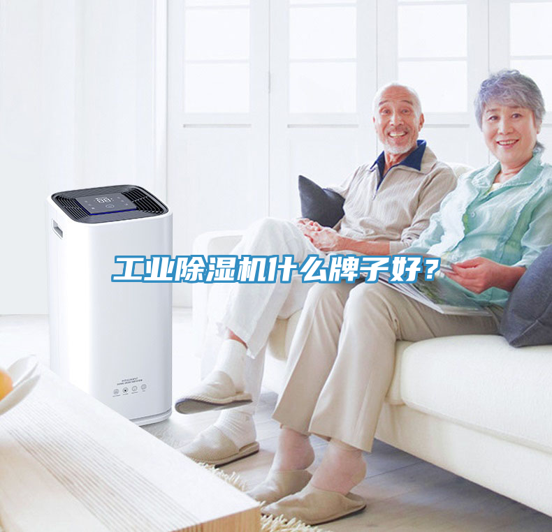 工業(yè)除濕機(jī)什么牌子好？