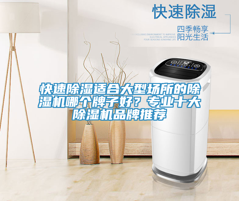 快速除濕適合大型場所的除濕機(jī)哪個牌子好？專業(yè)十大除濕機(jī)品牌推薦