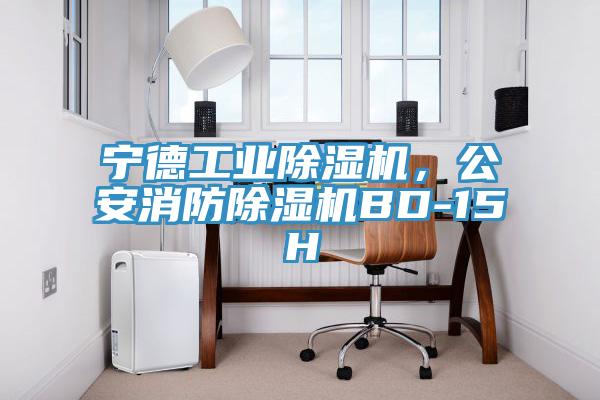 寧德工業(yè)除濕機，公安消防除濕機BD-15H