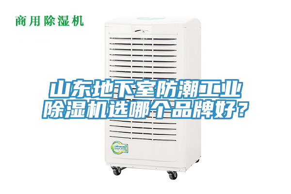 山東地下室防潮工業(yè)除濕機(jī)選哪個品牌好？