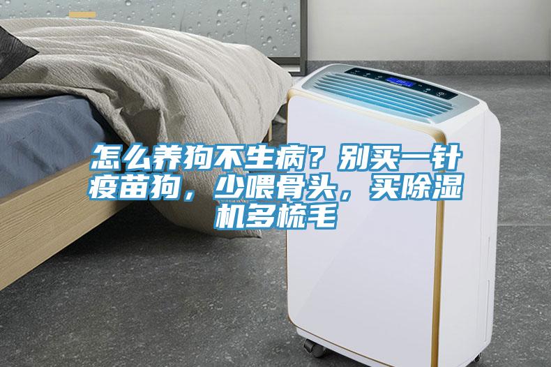 怎么養(yǎng)狗不生病？別買一針疫苗狗，少喂骨頭，買除濕機(jī)多梳毛