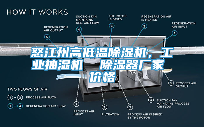 怒江州高低溫除濕機，工業(yè)抽濕機  除濕器廠家 價格