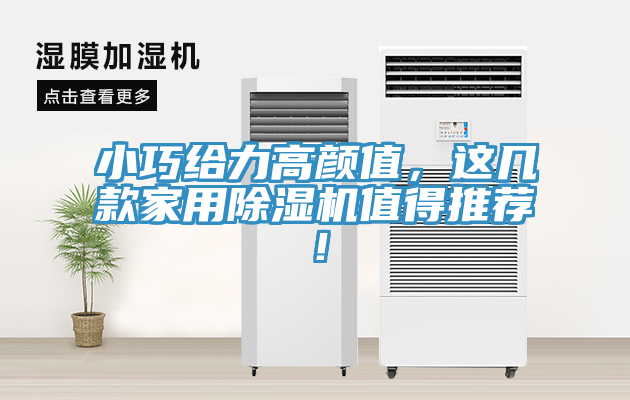 小巧給力高顏值，這幾款家用除濕機值得推薦！