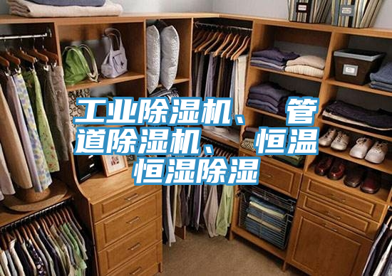 工業(yè)除濕機(jī)、 管道除濕機(jī)、 恒溫恒濕除濕