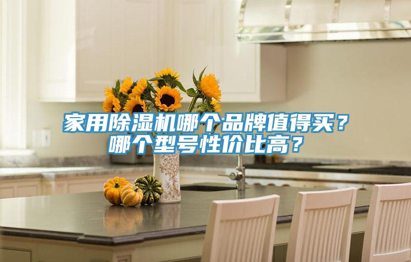 家用除濕機(jī)哪個品牌值得買？哪個型號性價比高？