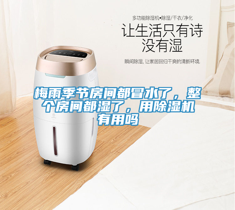 梅雨季節(jié)房間都冒水了，整個房間都濕了，用除濕機有用嗎