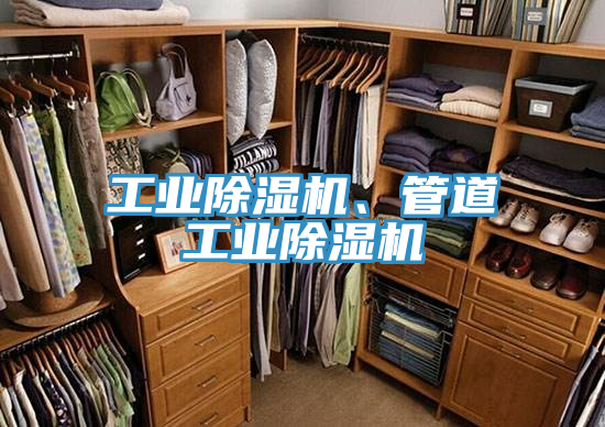 工業(yè)除濕機(jī)、管道工業(yè)除濕機(jī)