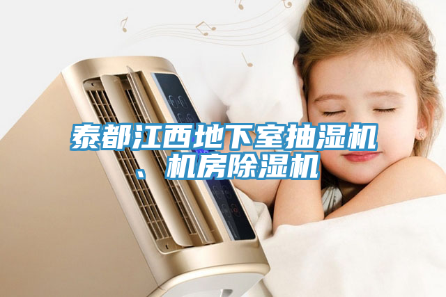 泰都江西地下室抽濕機(jī)、機(jī)房除濕機(jī)