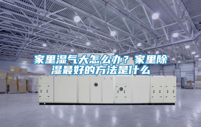 家里濕氣大怎么辦？家里除濕最好的方法是什么
