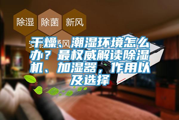 干燥、潮濕環(huán)境怎么辦？最權(quán)威解讀除濕機(jī)、加濕器，作用以及選擇