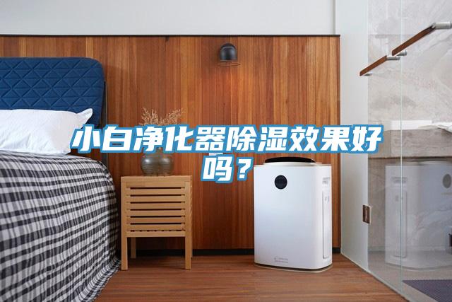 小白凈化器除濕效果好嗎？