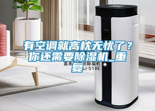 有空調就高枕無憂了？你還需要除濕機_重復