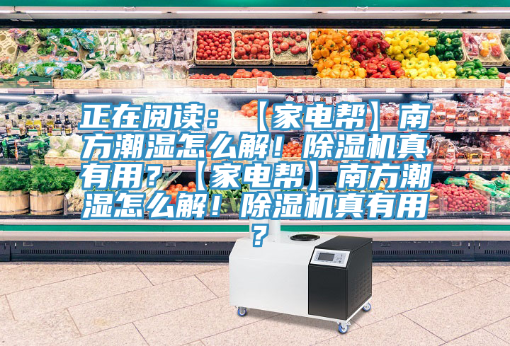 正在閱讀：【家電幫】南方潮濕怎么解！除濕機真有用？【家電幫】南方潮濕怎么解！除濕機真有用？