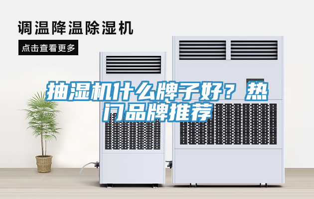 抽濕機(jī)什么牌子好？熱門品牌推薦