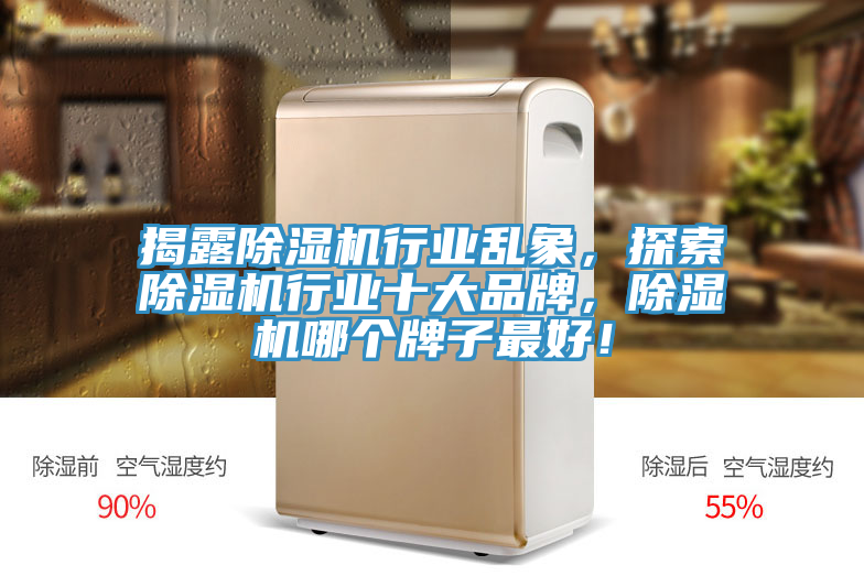 揭露除濕機(jī)行業(yè)亂象，探索除濕機(jī)行業(yè)十大品牌，除濕機(jī)哪個(gè)牌子最好！