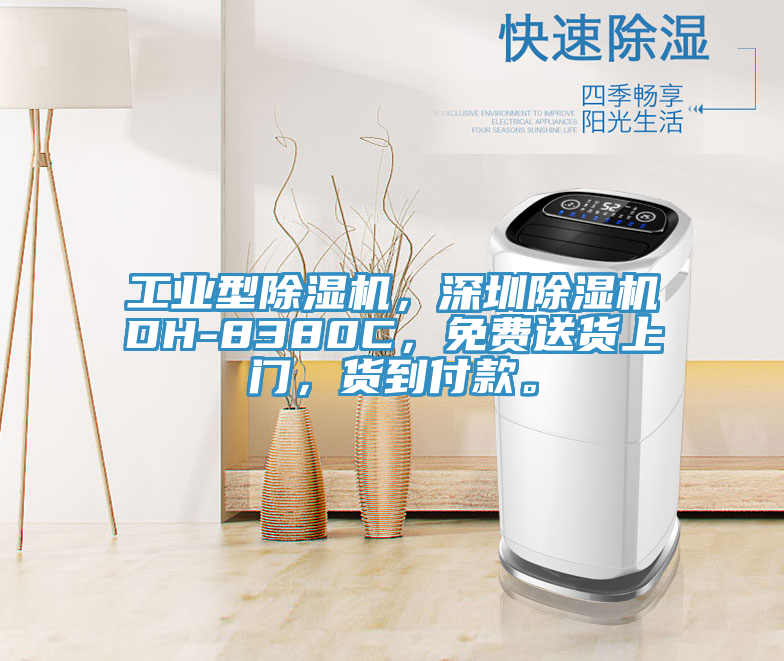 工業(yè)型除濕機(jī)，深圳除濕機(jī)DH-8380C，免費(fèi)送貨上門，貨到付款。