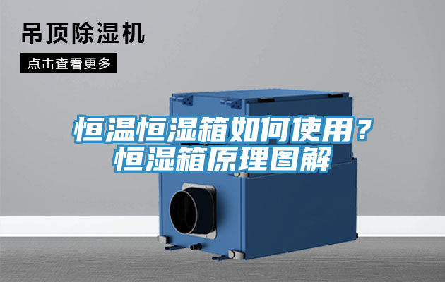恒溫恒濕箱如何使用？恒濕箱原理圖解