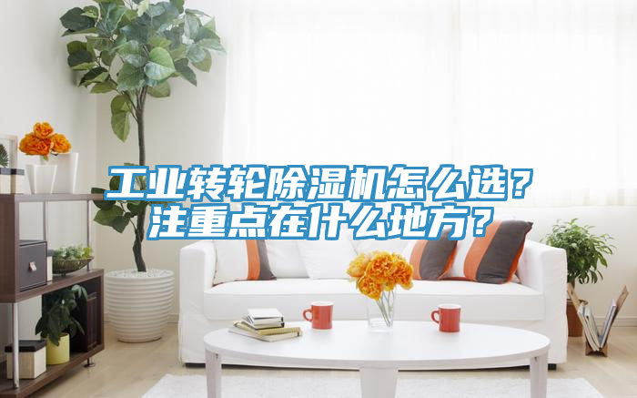 工業(yè)轉(zhuǎn)輪除濕機(jī)怎么選？注重點(diǎn)在什么地方？