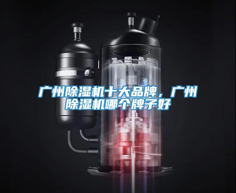 廣州除濕機(jī)十大品牌，廣州除濕機(jī)哪個牌子好