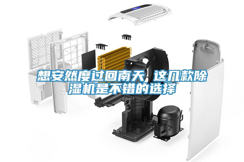 想安然度過(guò)回南天 這幾款除濕機(jī)是不錯(cuò)的選擇