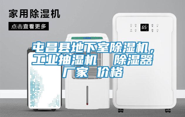 屯昌縣地下室除濕機(jī)，工業(yè)抽濕機(jī)  除濕器廠家 價(jià)格