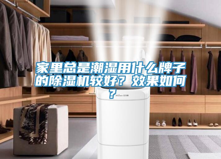 家里總是潮濕用什么牌子的除濕機(jī)較好？效果如何？