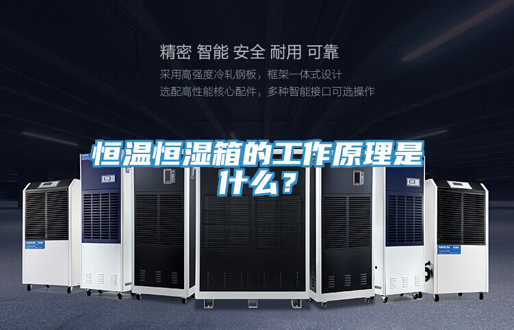 恒溫恒濕箱的工作原理是什么？