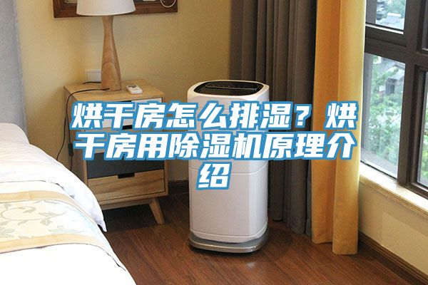 烘干房怎么排濕？烘干房用除濕機(jī)原理介紹