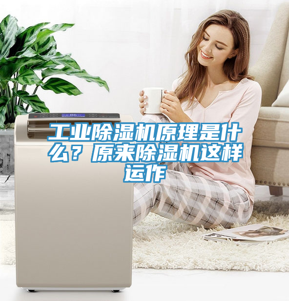 工業(yè)除濕機原理是什么？原來除濕機這樣運作