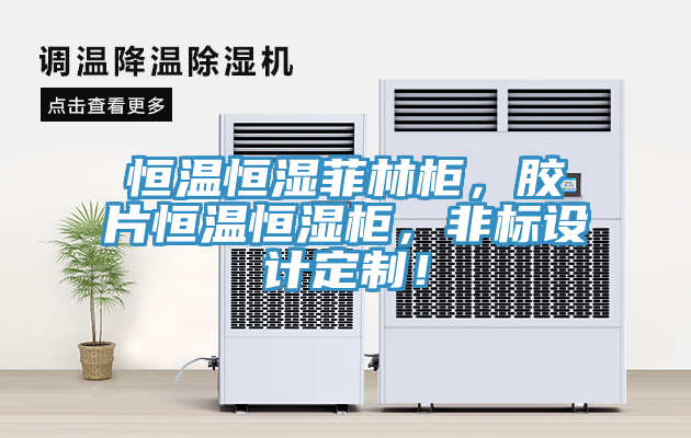 恒溫恒濕菲林柜，膠片恒溫恒濕柜，非標(biāo)設(shè)計(jì)定制！